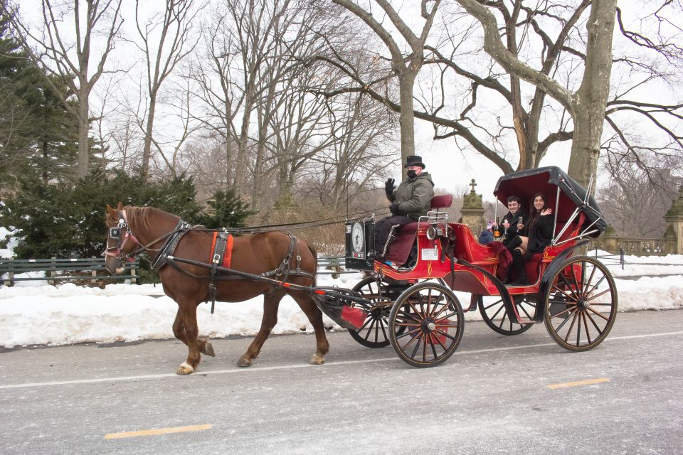 NYC: Central Park Horse-Drawn Carriage Ride With Photos - Included Features