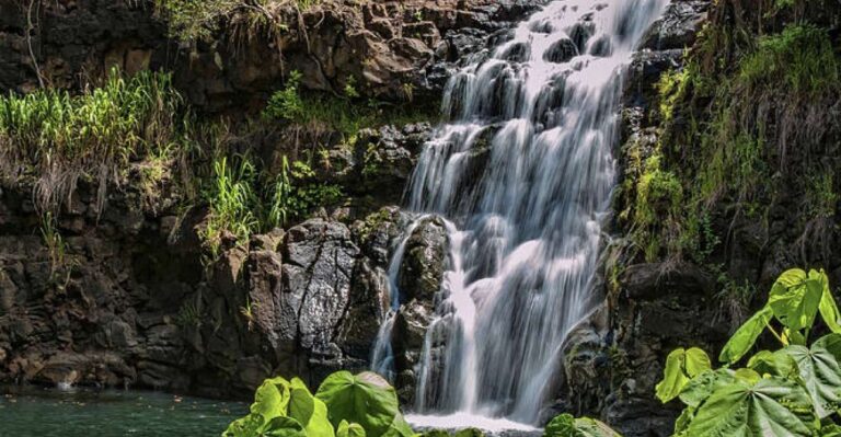 Oahu Hidden Gems & Waimea Botanical Garden/Waterfall Tour