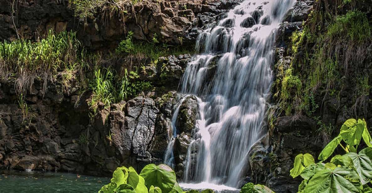 Oahu Hidden Gems & Waimea Botanical Garden/Waterfall Tour - Tour Highlights and Itinerary