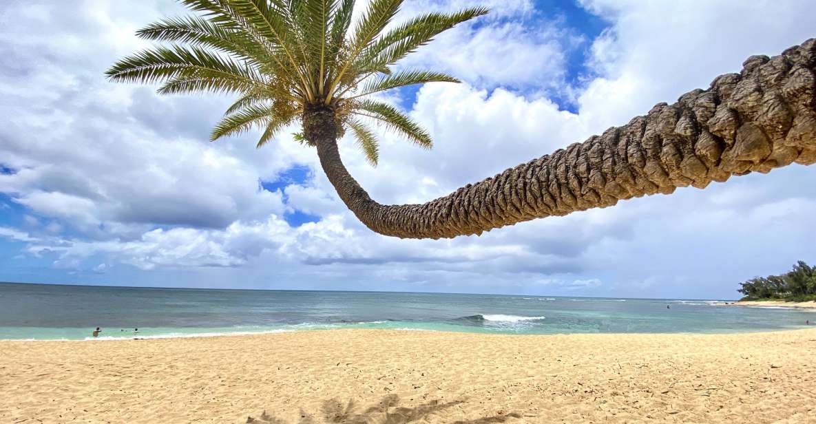 Oahu: North Shore Experience and Dole Plantation - Itinerary Highlights