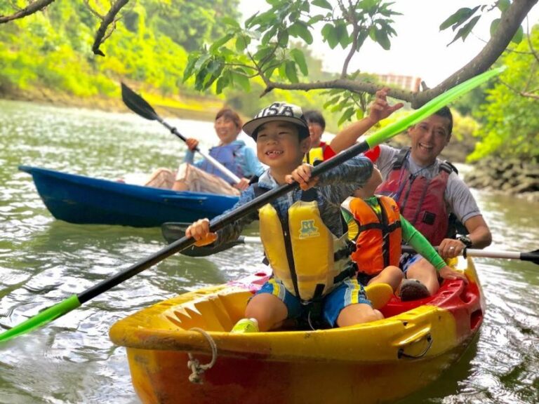 Okinawa: Mangrove Kayaking Tour