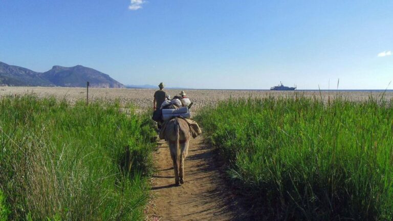 Orosei Gulf: 3 Days Trekking With Donkeys