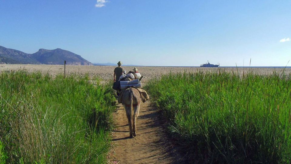 Orosei Gulf: 3 Days Trekking With Donkeys - Activity Details