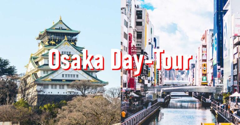 Osaka: Full-Day Private Guided Walking Tour