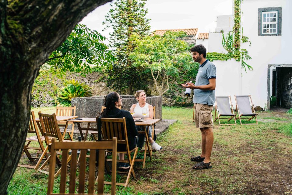 Pico Island: Half Day Private Wine Tour - Tour Details