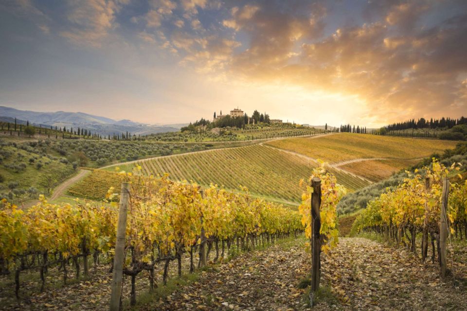 Pisa, Siena and Chianti Private Tour From Florence by Car - Tour Description