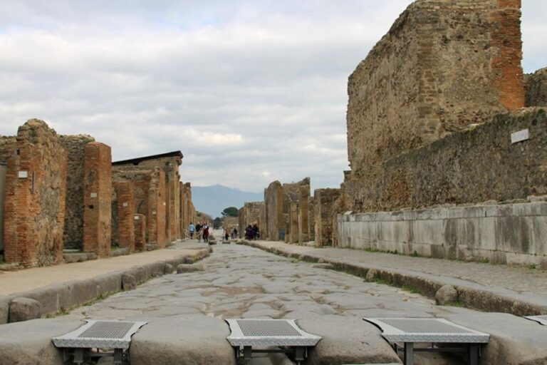 Pompeii Wheelchair Accessible Private Tour