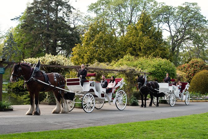 Premier Horse-Drawn Carriage Tour of Victoria - Carriage Details and Capacity