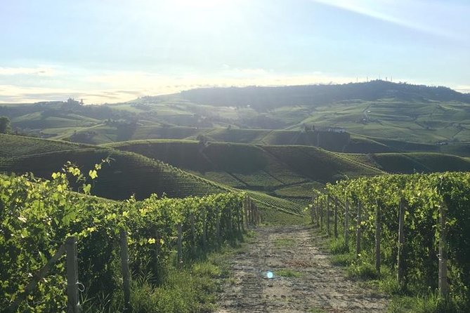 Private Barolo / Barbaresco - Piedmont Wine Tours and Tastings - Tour Inclusions