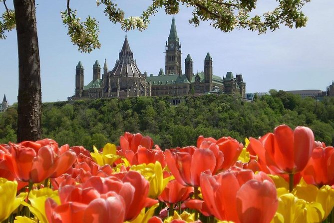 Private Day Tour OTTAWA Tulip Festival May 10-20 From MONTREAL - Tour Overview