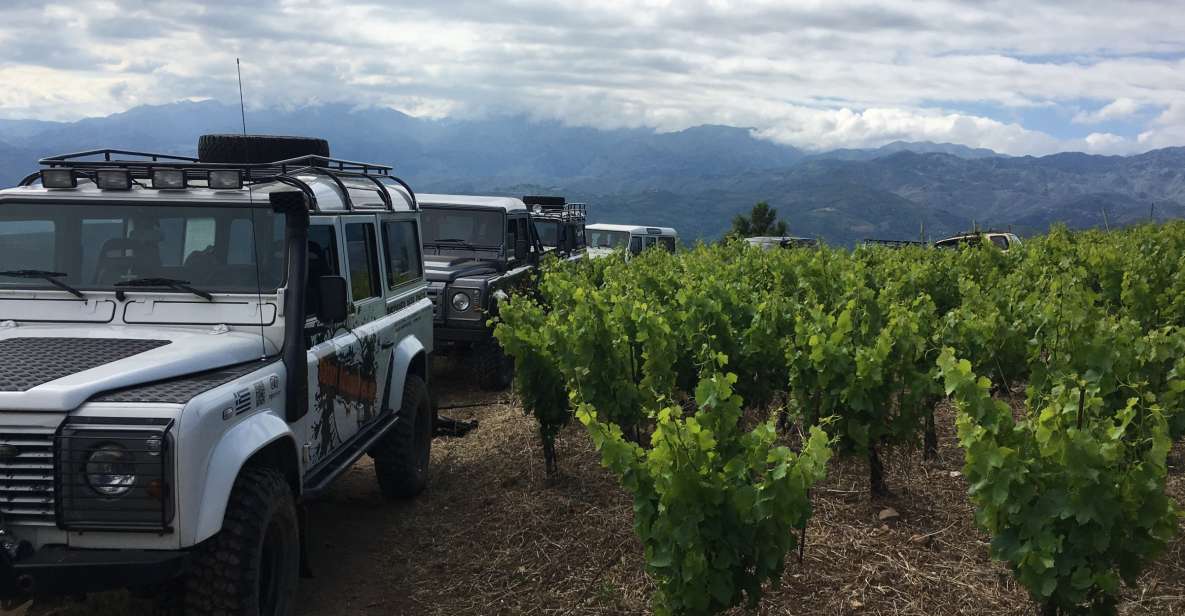 Private Exclusive Manousakis Winery and Vineyard Tour - Tour Details