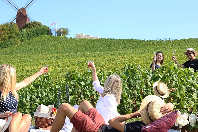 Private Guided Tour in Champagne From Paris With Moet&Chandon Visit.