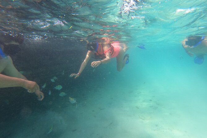 Private MUSA Snorkeling Experience at Isla Mujeres and Cancun - Pickup and End Point Details