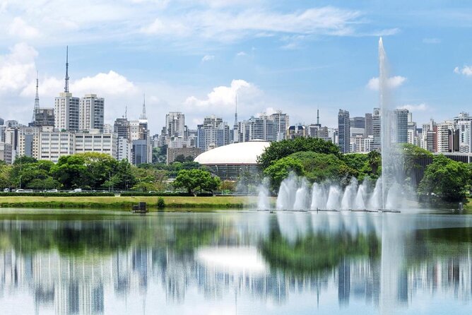 Private São Paulo Tour With Ibirapuera Park, Paulista Av and Downtown Visit