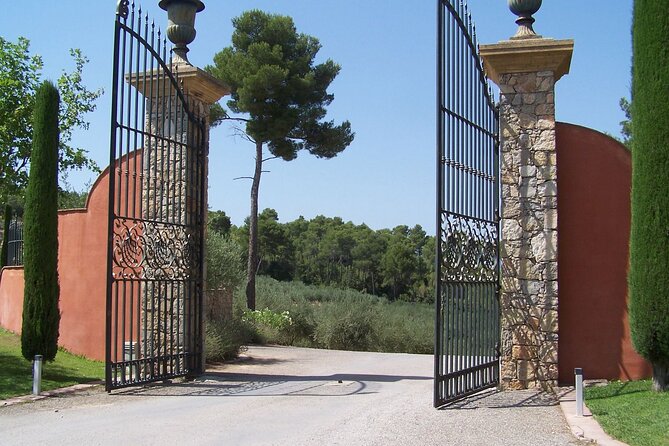 Private Vineyard Tour of Provence From Nice - Tour Details