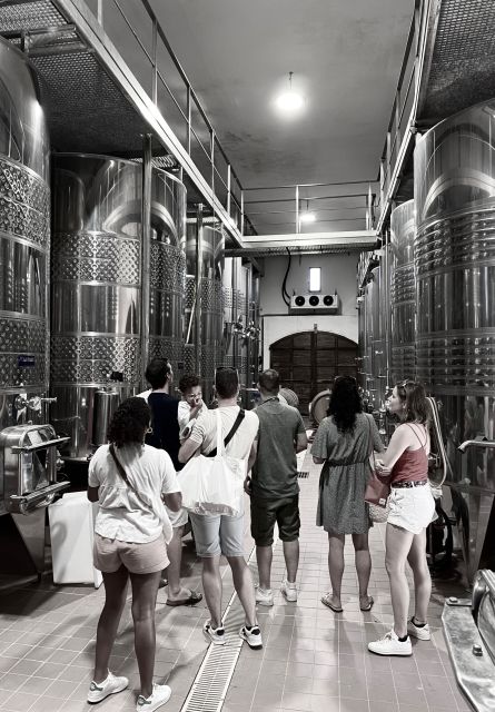 Private Wine Tastings Around Vineyards - Activity Details
