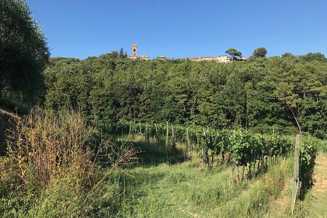 Private Wine Tour - Lucca Hills and Montecarlo (2 Wineries) - Tour Highlights and Itinerary