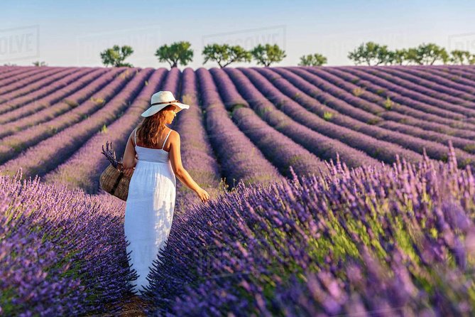 Provence and Lavender - Private & Guided Full Day Tour - Booking Information