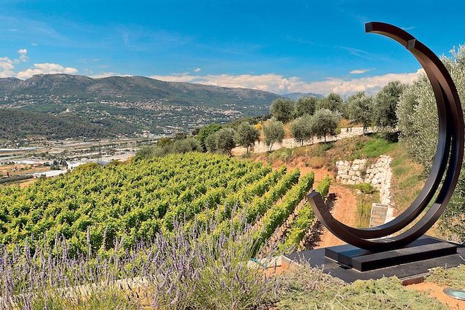 Provence Organic Wine Small Group Half Day Tour With Tastings From Nice - Tour Overview