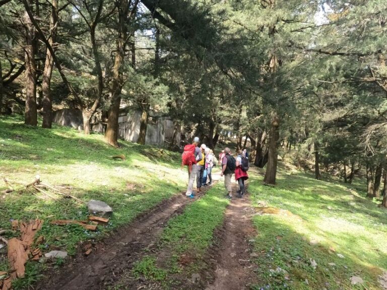 Rhodes: Hike Mountain Profitis Ilias From Salakos Village