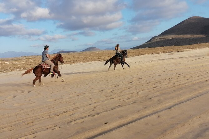 Ride a Horse Around the Beautiful Beaches of Todos Santos. - Guided Ride With Qualified Instructor