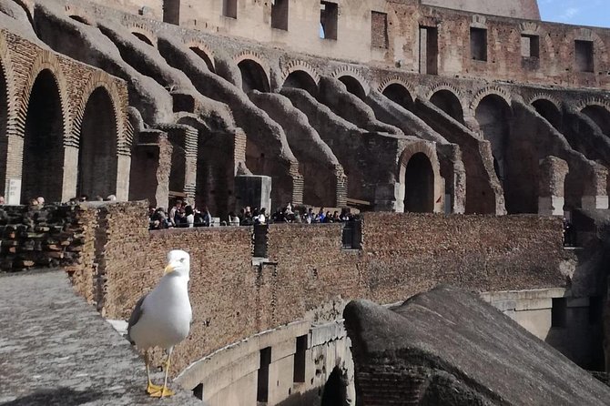Rome Colosseum Express Tour With a Private Guide