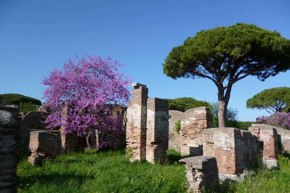 Rome: Private Ostia Antica Tour - Tour Details