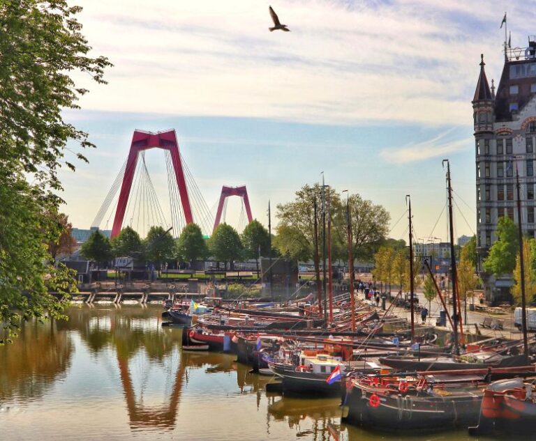 Rotterdam: Walking Tour With Audio Guide on App