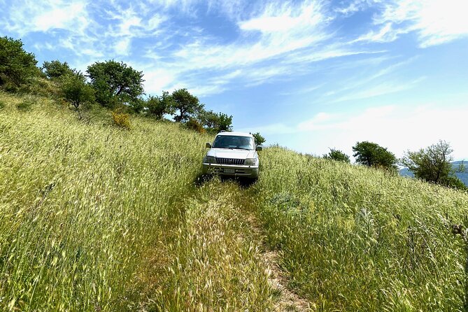 Safari Jeep Wild Adventure - Reviews and Ratings Breakdown