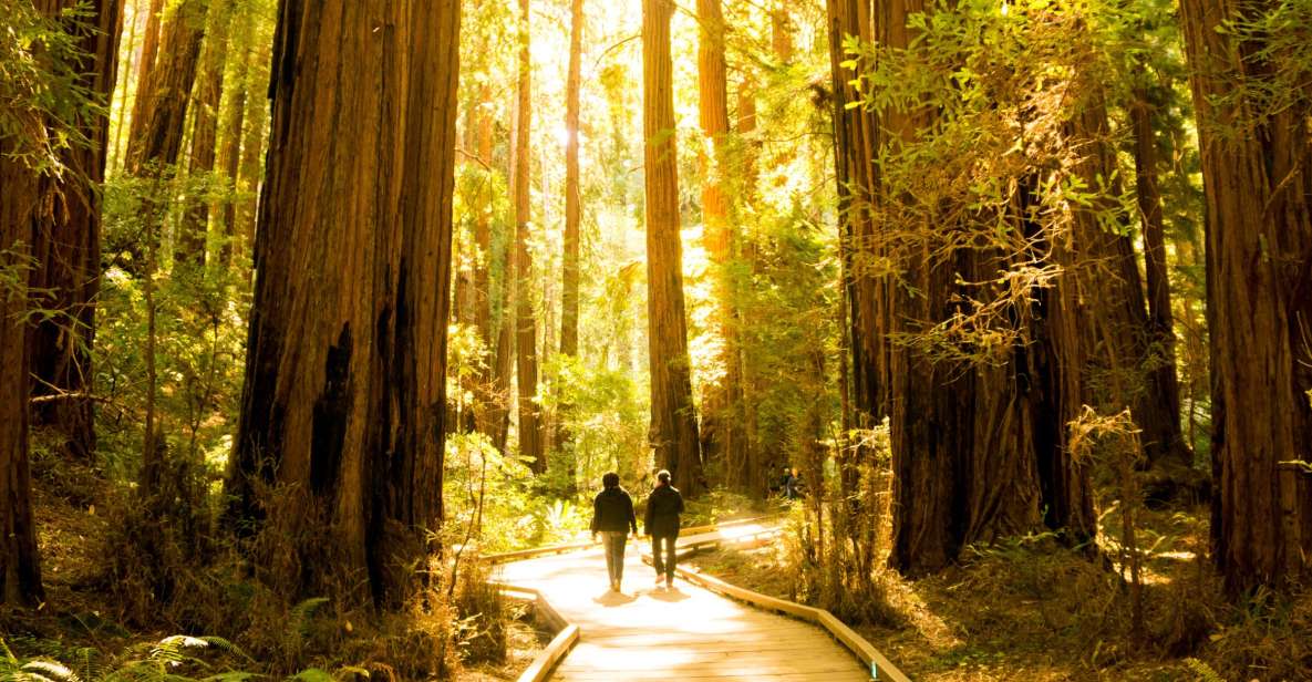 San Francisco: Muir Woods and Sausalito Experience - Tour Highlights