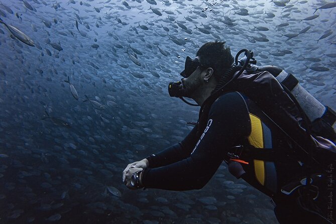 Scuba Diving - Dive Spots in Baja California Sur