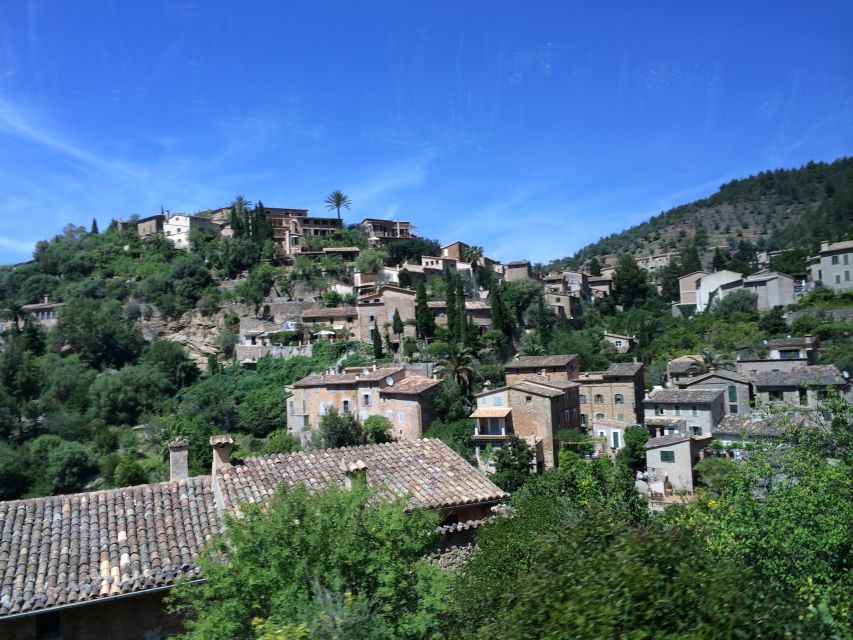 Serra De Tramuntana Half-Day Tour: Soller and Valldemosa - Inclusions Provided