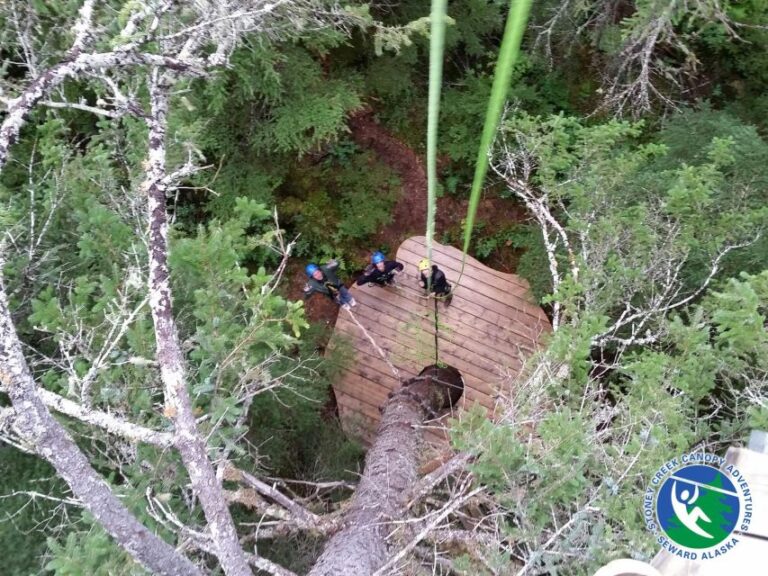 Seward: Stoney Creek Canopy Adventure