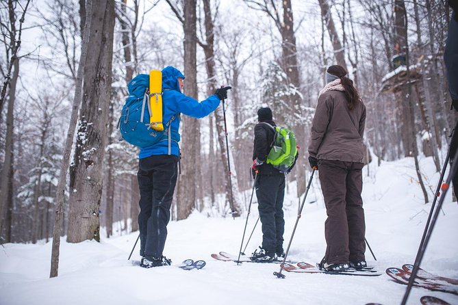 Skiing (Hok Ski) Excursion in Jacques-Cartier National Park