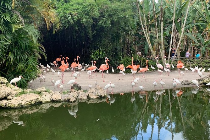 Skip the Line: Flamingo Gardens Admission Ticket in Fort Lauderdale - Location and Overview
