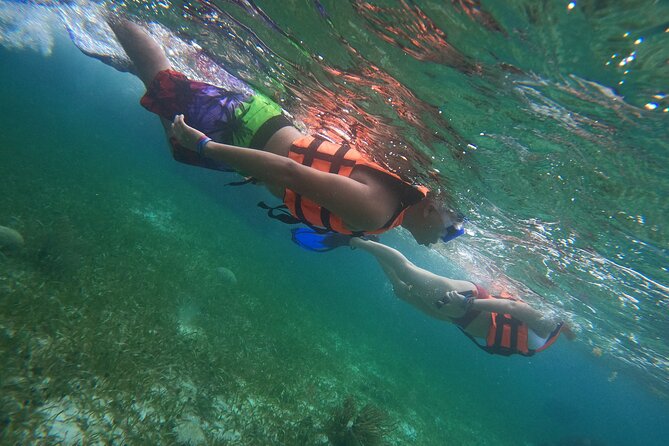 Snorkeling Adventure in Puerto Morelos Includes Snack, Water and Round Trip. - Tour Highlights
