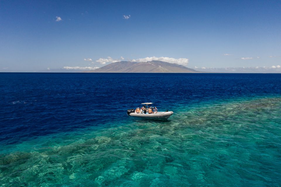 South Maui: Molokini Volcanic Crater Snorkeling Cruise - Highlights