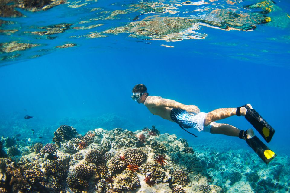 South Maui: Premium Turtle Town Kayak and Snorkel Tour - Tour Inclusions