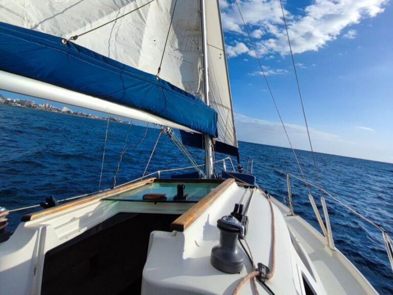 Tenerife: Private Sailing Experience With Snacks and Drinks