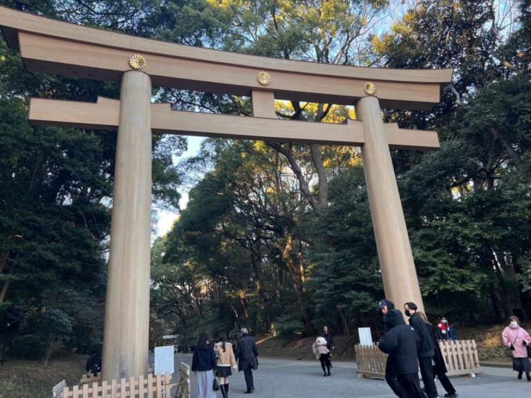 Tokyo Harajuku Meiji Jingu Shrine 1h Walking Tour