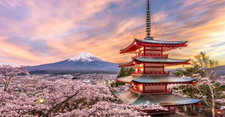 Tokyo: Private Mt Fuji Sightseeing Tour With English Driver