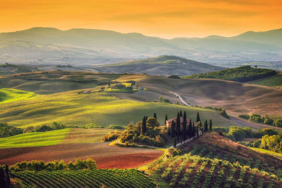 Tuscany Highlights and Wine Private Car Tour From Florence - Tour Details