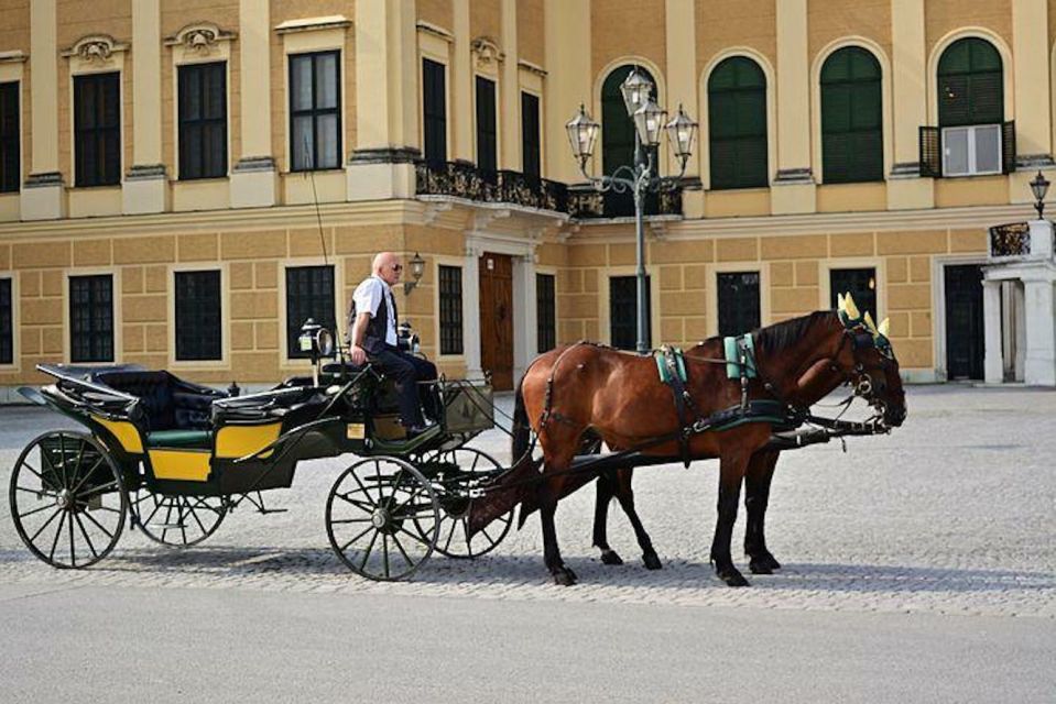 Vienna: Carriage Ride Through Schönbrunn Palace Gardens - Experience Schönbrunn Palace Gardens by Carriage