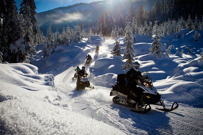 Whistler Cedar Forest Snowmobile Tour for Intermediate Riders
