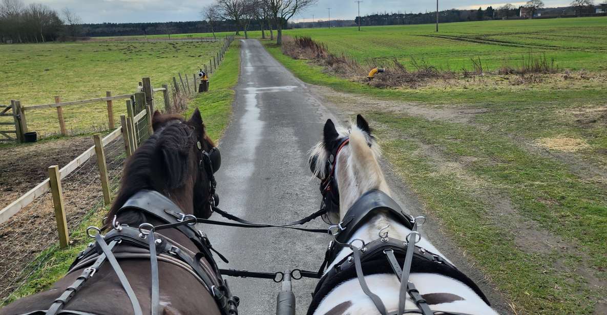 York: Horse Drawn Carriage Ride & Cream Tea - Pricing and Duration