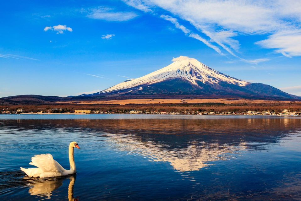 1-Day Trip: Mt Fuji Kawaguchi Lake Area - Highlights of the Trip