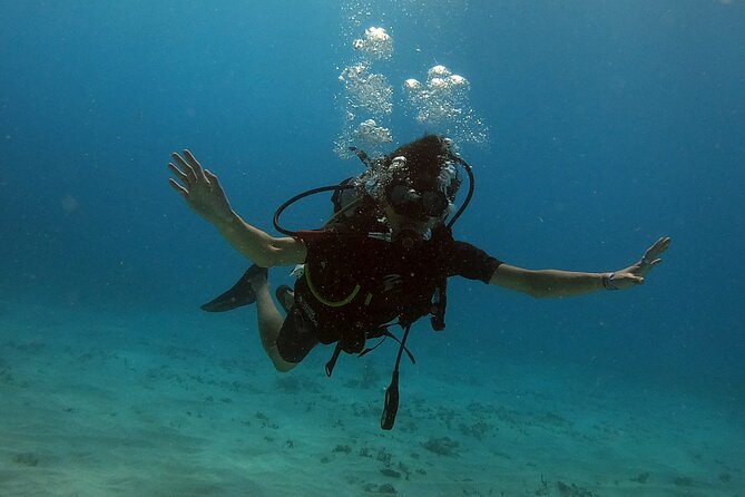 1st Life Experience Scuba Diving in Cancun FREE Photos/Videos - Logistics and Meeting Point