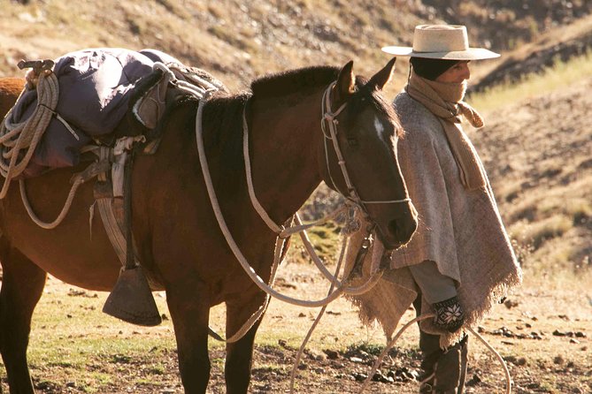 Authentic Horseback Ride With Chilean Cowboys in the Andes Close to Santiago! - Tour Guide Appreciation