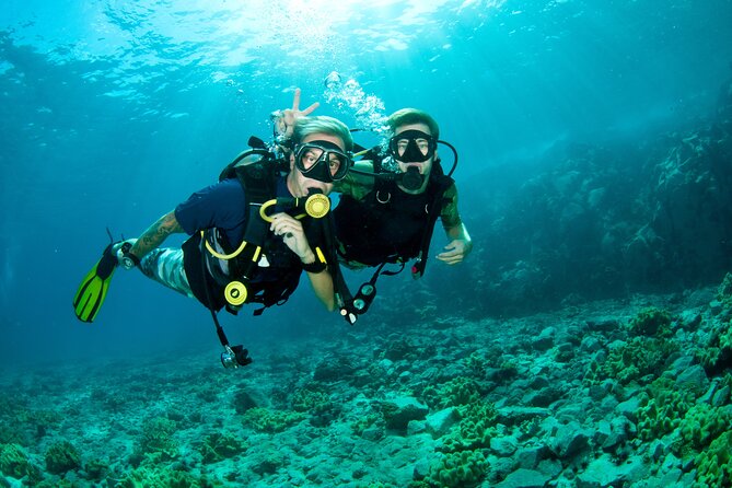 Beginner Scuba Diving Tour With Videos-Pcb - Meeting and Pickup Information
