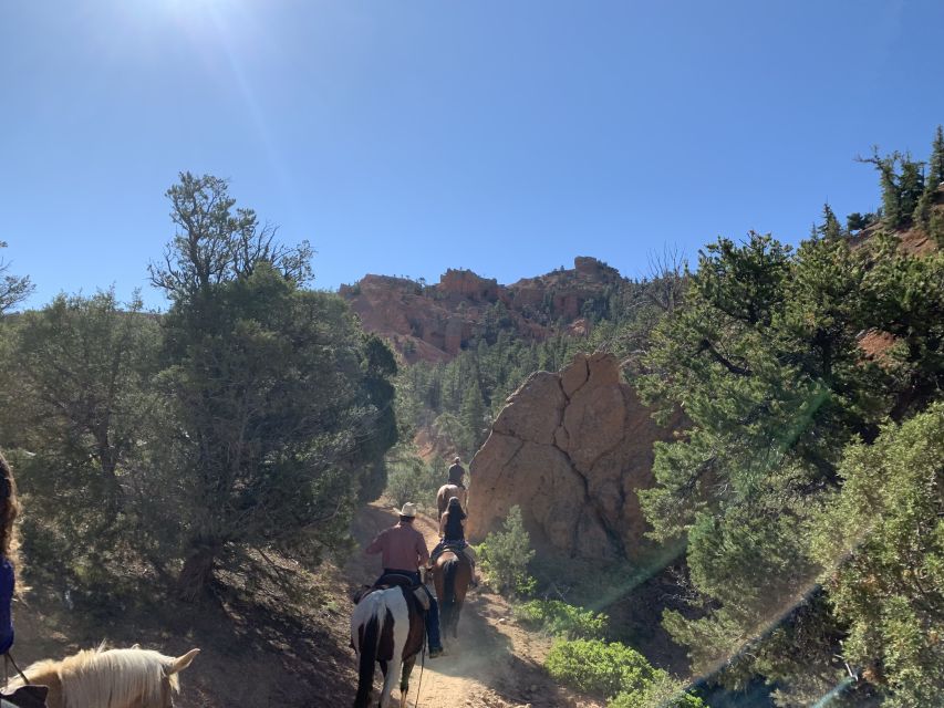 Bryce Canyon City: Horseback Riding Tour in Red Canyon - Restrictions